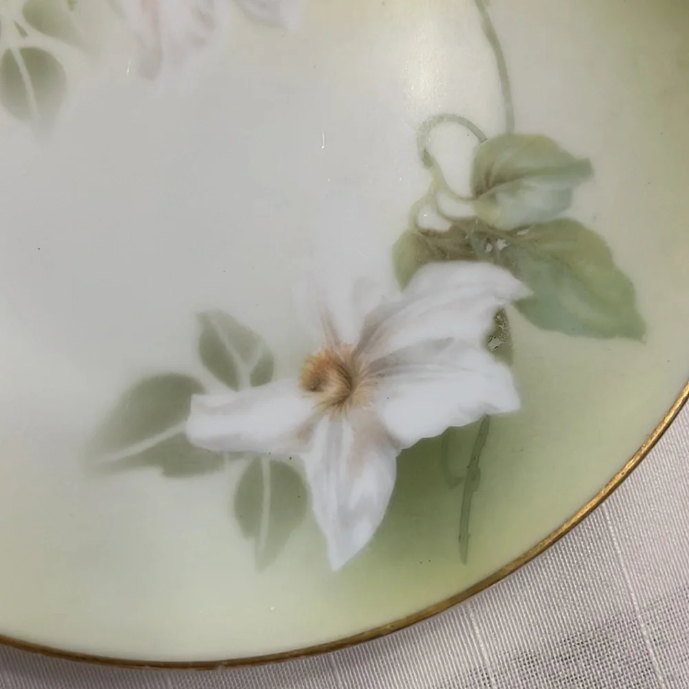 Antique delicate white floral design on porcelain plates RS Tillowitz Germany